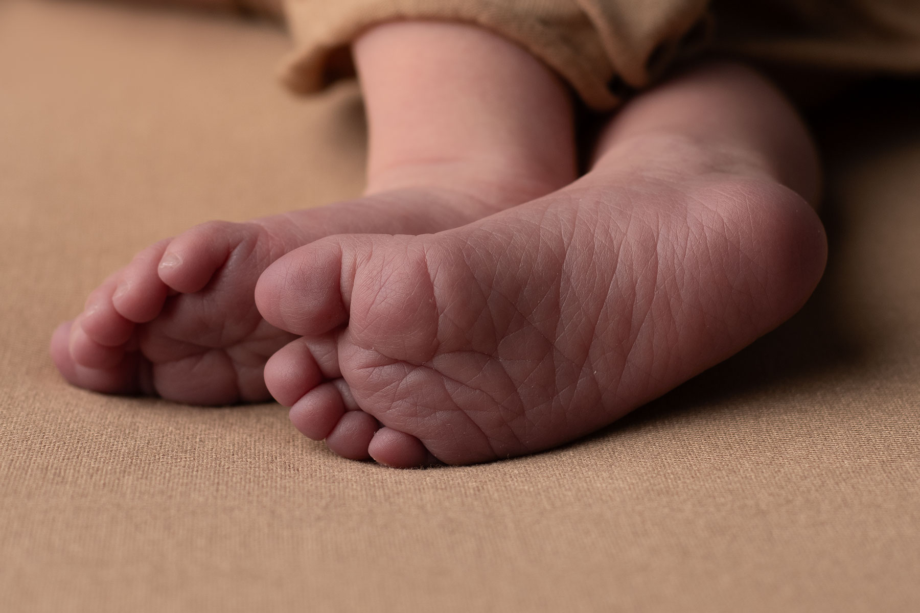 Detail photograph of a newborn baby's tiny feet